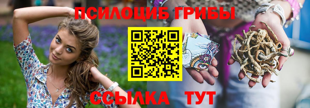 Псилоцибиновые грибы прущие грибы Белая Калитва